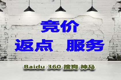 SEM运营策略案例分析